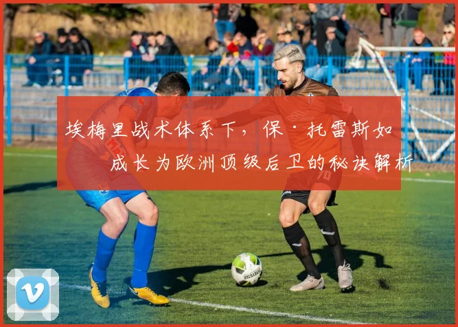 埃梅里战术体系下,保·托雷斯如何成长为欧洲顶级后卫的秘诀解析